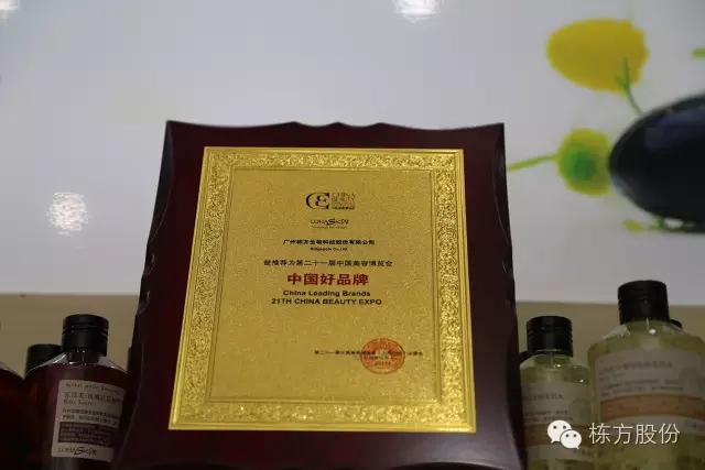 科技引領(lǐng)美麗▏棟方股份榮獲“中國好品牌獎”！